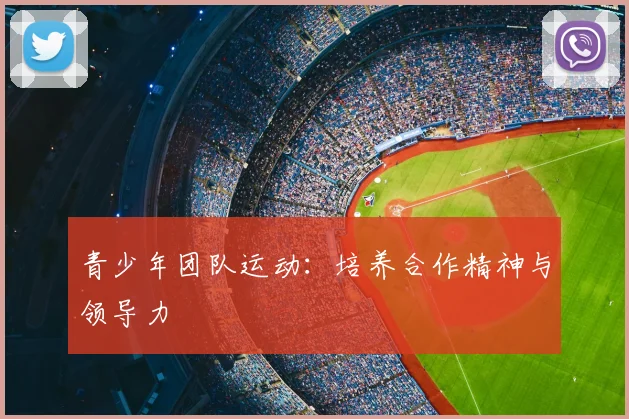 青少年团队运动:培养合作精神与领导力